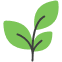 Premium agri commodity export services from India