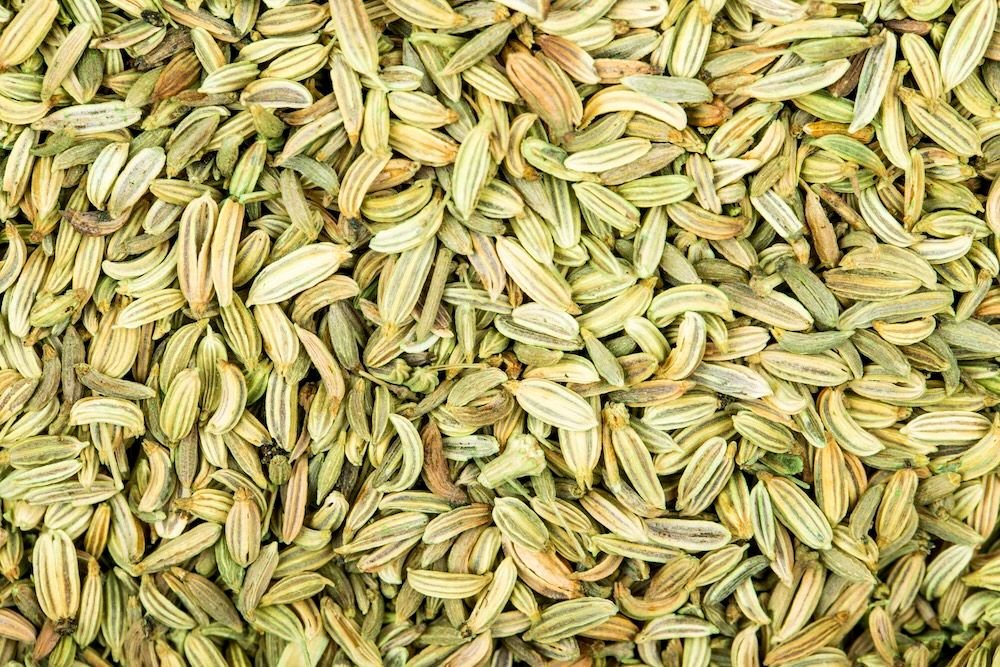 Premium fennel seeds exporter from India