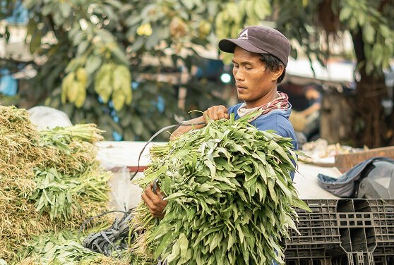 Agency Agreement services