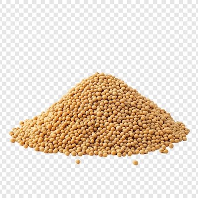Soyabean - Export grade from India