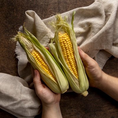 Maize - Yellow corn export India